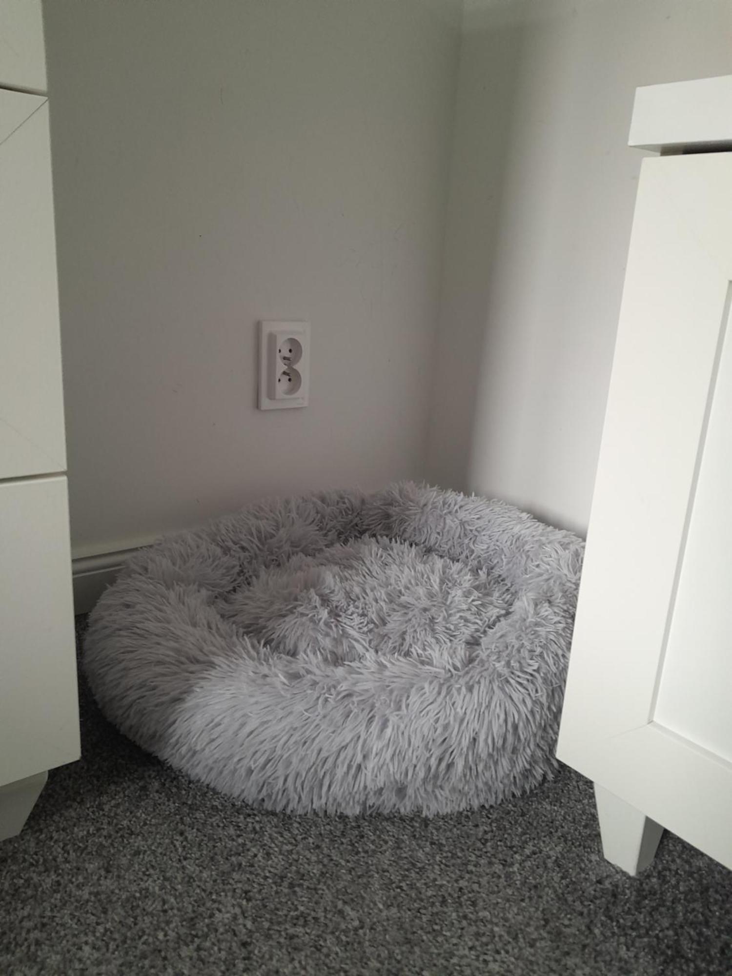 Apartament "Konie I Anioly" Boguszów-Gorce Εξωτερικό φωτογραφία